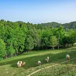 Charming In With Pool *