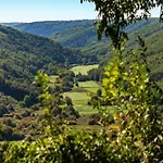 Apartamento Charming In With Pool Makarska