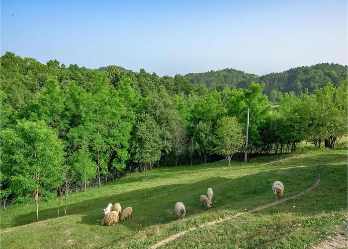 Charming In With Pool *