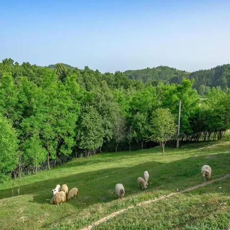 Charming In With Pool *