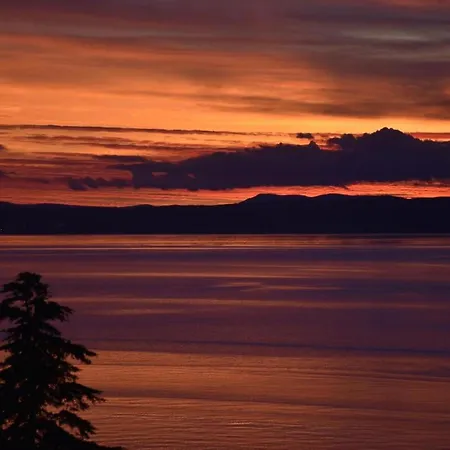 Apartment Charming In With Pool *